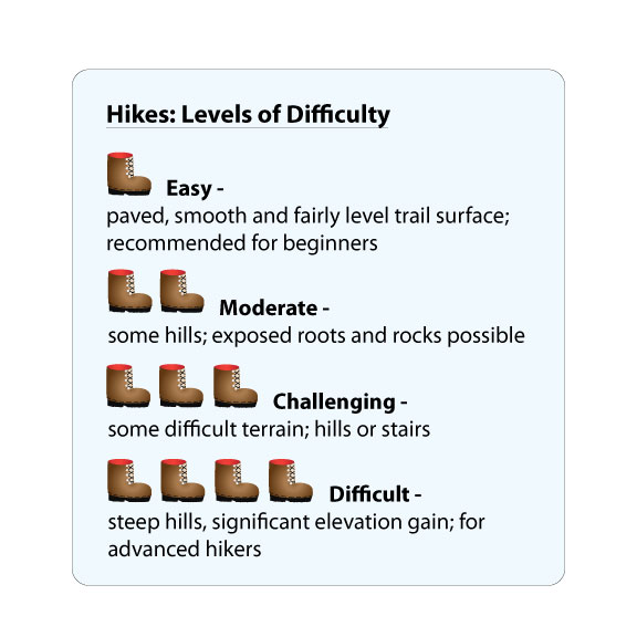 Hiking Boot Icon